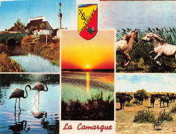 13 CAMARGUE - Otros & Sin Clasificación