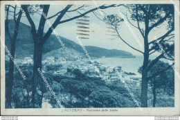 Bu486 Cartolina Spotorno Panorama Della Pineta Provincia Di Savona Liguria - Savona