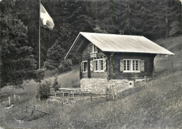 Postcard Switzerland Bergli Hutte Ob Oberbuchsiten - Andere & Zonder Classificatie