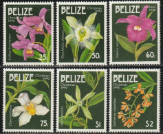 THEMATIC FLORA:  ORCHIDS.  CATTLEYA BOWRINGIANA, SOBRALIA MACRANTHA, VANILLA PLANIFOLIA  ETC    6v   -    BELIZE - Orchids