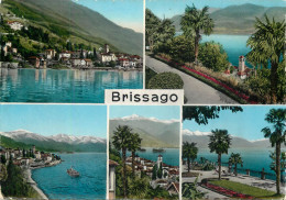 Postcard Switzerland Brissago - Otros & Sin Clasificación