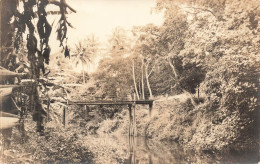 NOUVELLE CALEDONIE - Dans La Forêt - Pont - Carte Postale Ancienne - Nieuw-Caledonië