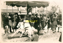 Fête Foraine, Grande Photo D'un Manège De Chevaux De Bois, Phot Hanicque à Angers - Altri & Non Classificati