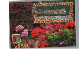 LE LAVANDOU 83 - Vue Générale Sur La Plage Et Jardin Florale Fleur Géranium - Le Lavandou