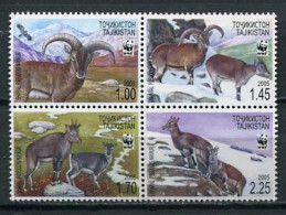 Tajikistan 2005 / Fauna Mammals Goats WWF MNH Mamíferos Cabras Säugetiere / Cu5226  29-25 - Sonstige & Ohne Zuordnung