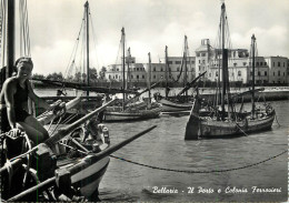 Postcard Italy Bellaria Harbour - Otros & Sin Clasificación
