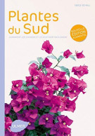 Plantes Du Sud (NE) - Other & Unclassified