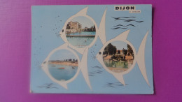 Dijon Affranchie - Dijon