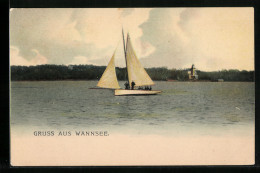 AK Berlin-Wannsee, Segeltörn Auf Dem Wannsee  - Wannsee