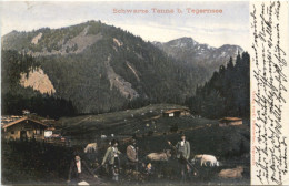 Tegernsee - Schwarze Tenne - Tegernsee