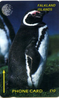 Falkland Islands CN.1CWFB Jackass Penguin - Falkland