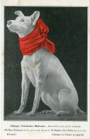 PARIS 18. Clinique Vétérinaire Malvezin. Chien Au Foulard Rouge. 138 Rue Ordener - Distrito: 18