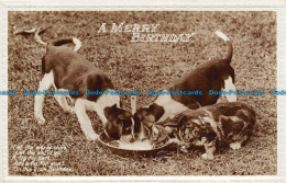 R116005 Greetings. A Merry Birthday. Puppies And Cat. RP - Wereld