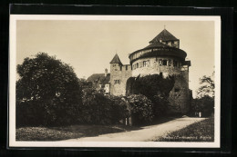 AK Vaduz, Partie Vor Dem Schloss  - Liechtenstein