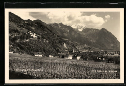 AK Vaduz, Teilansicht Mit Schloss Und Rebstöcken  - Liechtenstein