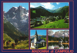 MADONNA DI CAMPIGLIO, TRENTINO, MULTIPLE VIEWS, ARCHITECTURE, BOAT, MOUNTAIN, CHURCH, LAKE, HORSES, ITALY, POSTCARD - Trento