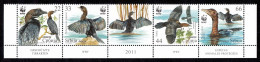 Serbia 2011 WWF Fauna Birds Cormorant Phalacrocorax Pygmaeus, Set With Label In Strip MNH - Serbia