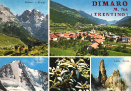 DIMARO, TRENTINO, MULTIPLE VIEWS, ARCHITECTURE, MOUNTAIN, COWS, FLOWER, ITALY, POSTCARD - Trento