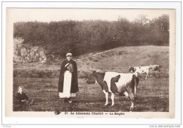 CPA- 87 - Haute Vienne - Le Limousin - La Bergère - ( Bergère En Costume, Enfant Assis, Vaches) - Sonstige & Ohne Zuordnung