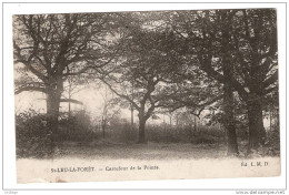 CPA- 95 Val De Marne - St Leu La Forêt - Carrefour De La Pointe- RARE - Autres & Non Classés