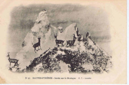HAUTES-PYRENEES - ISARDS Sur La Montagne - D. T. N° 57 - Sonstige & Ohne Zuordnung