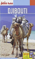 Guide Djibouti 2020-2021 Petit Futé - Sonstige & Ohne Zuordnung