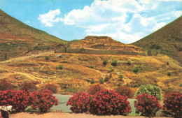 GRECE - Mycènes - Vue Générale De L'Acropole - Colorisé - Carte Postale - Griechenland