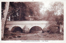 89 - Yonne -  SAINT MARTIN  Sur OUANNE - Les Ponts - Autres & Non Classés