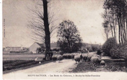 89 - Yonne - NEUVY SAUTOUR - Les Bords Du Creanton A Boulay Les Belles Fontaines - Moutons - Neuvy Sautour