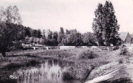 89 - Yonne -  L'ISLE Sur SEREIN -  Les Bords Du Serein Sous Les Antes - L'Isle Sur Serein