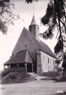 89 - Yonne - SEPEAUX - Eglise Saint Romain - Other & Unclassified