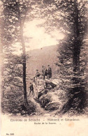 88 - Vosges -  Environs De La Schlucht - HOHNECK Et GERARDMER - Roche De La Source - Otros & Sin Clasificación