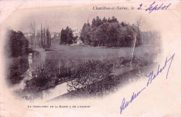 88 - Vosges -  CHATILLON Sur SAONE - Le Confluent De La Saone Et De L Apance - Carte Precurseur - Autres & Non Classés