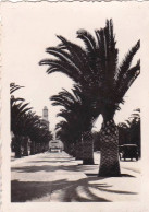 Photo Originale -militaria -1941 -Maroc - CASABLANCA- Expedition  Paquebot Chenonceaux -boulevard 4eme Zouave - War, Military