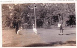 Photo Originale -militaria - Viet Nam - Cochinchine -1942 - SAIGON - Jardin Des Plantes - War, Military