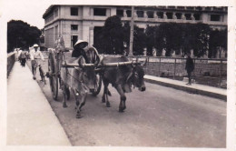 Photo Originale -1948 - Militaria - Viet Nam - Cochinchine -SAIGON- Le Pont Tournant - Guerre, Militaire