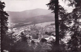 88 - Vosges -  CELLES Sur PLAINE - Vue Generale - Autres & Non Classés