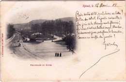 88 - Vosges -  EPINAL -  Promenade Du Cours - Carte Precurseur - Epinal