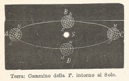 Cammino Della Terra Intorno Al Sole - 1930 Xilografia - Vintage Engraving - Pubblicitari