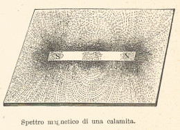Spettro Magnetico Di Una Calamita - 1930 Xilografia - Engraving - Gravure - Publicités