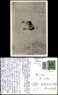 Ansichtskarte  Meer ::: Nordsee Junger Seehund Im Watt - Fotokarte 1952 - Sonstige & Ohne Zuordnung