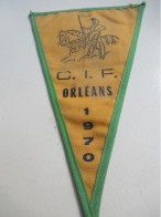 Fanion Souvenir/ORLEANS/NOYAN  Le FUZELIER/IIIème Rallye  Des  Rabiolots Orléanais/CIF / 1970          DFA76 - Bandiere