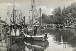 Postcard Germany Warnemunde Sailing Boats - Sonstige & Ohne Zuordnung