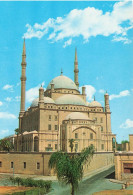 EGYPTE - Cairo - The Mohamed Aly Mosque - Carte Postale - Le Caire