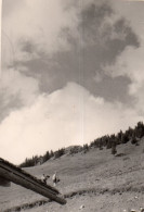 Photographie Vintage Photo Snapshot Suisse Alpes - Lieux