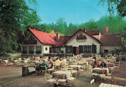 HOTELS ET RESTAURANTS - Waldrestaurant Und Pension Mooshütte - Colorisé - Carte Postale - Hoteles & Restaurantes