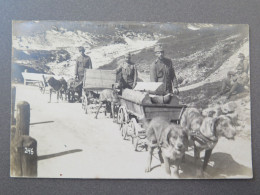 BOZEN - SOLDATEN MIT HUNDEGESPANN (ATTELAGE DE CHIEN) - PHOT. : WILHELM MÜLLER, BOZEN - Bolzano (Bozen)