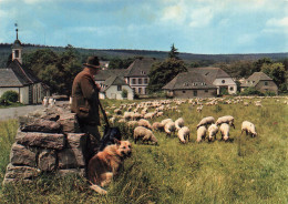 ALLEMAGNE - Luftkurort  Neuhaus Im Solling - Animé - Colorisé - Carte Postale - Holzminden