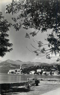 Postcard Croatia Lopud Harbour - Kroatien