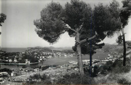 Postcard Croatia Dubrovnik Gruz - Croatia